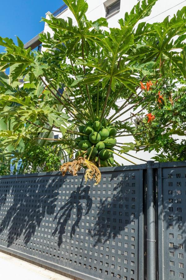 Medano4You The Strelitzia Terrace El Médano Екстериор снимка